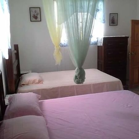 Marcie Guesthouse Port-au-Prince Ngoại thất bức ảnh